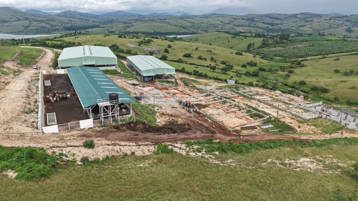 Processing plant near Lake Nyabihoko