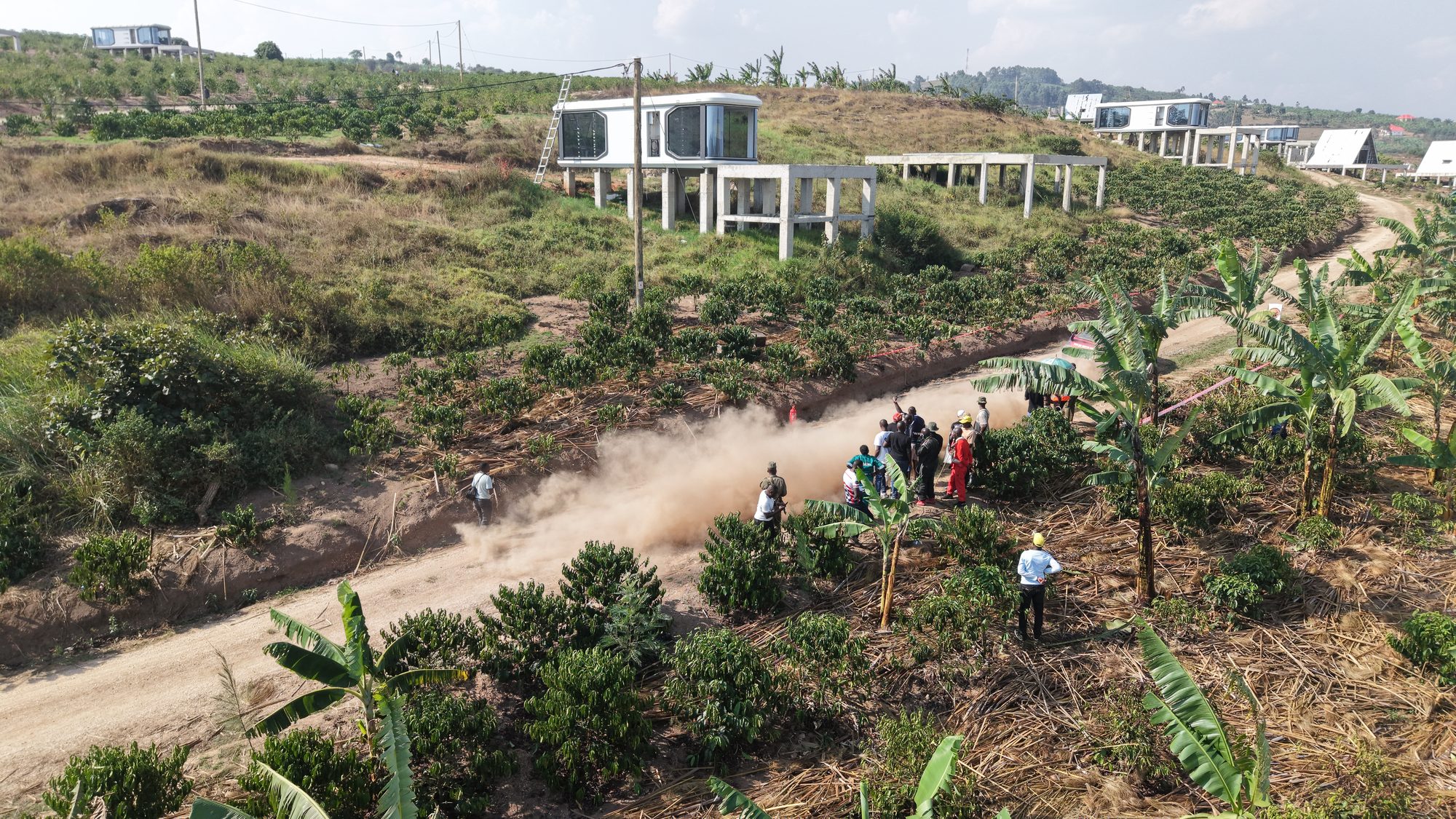 A rally car trailing dust up an estate track past young coffee and banana, glamping pods on the ridge above