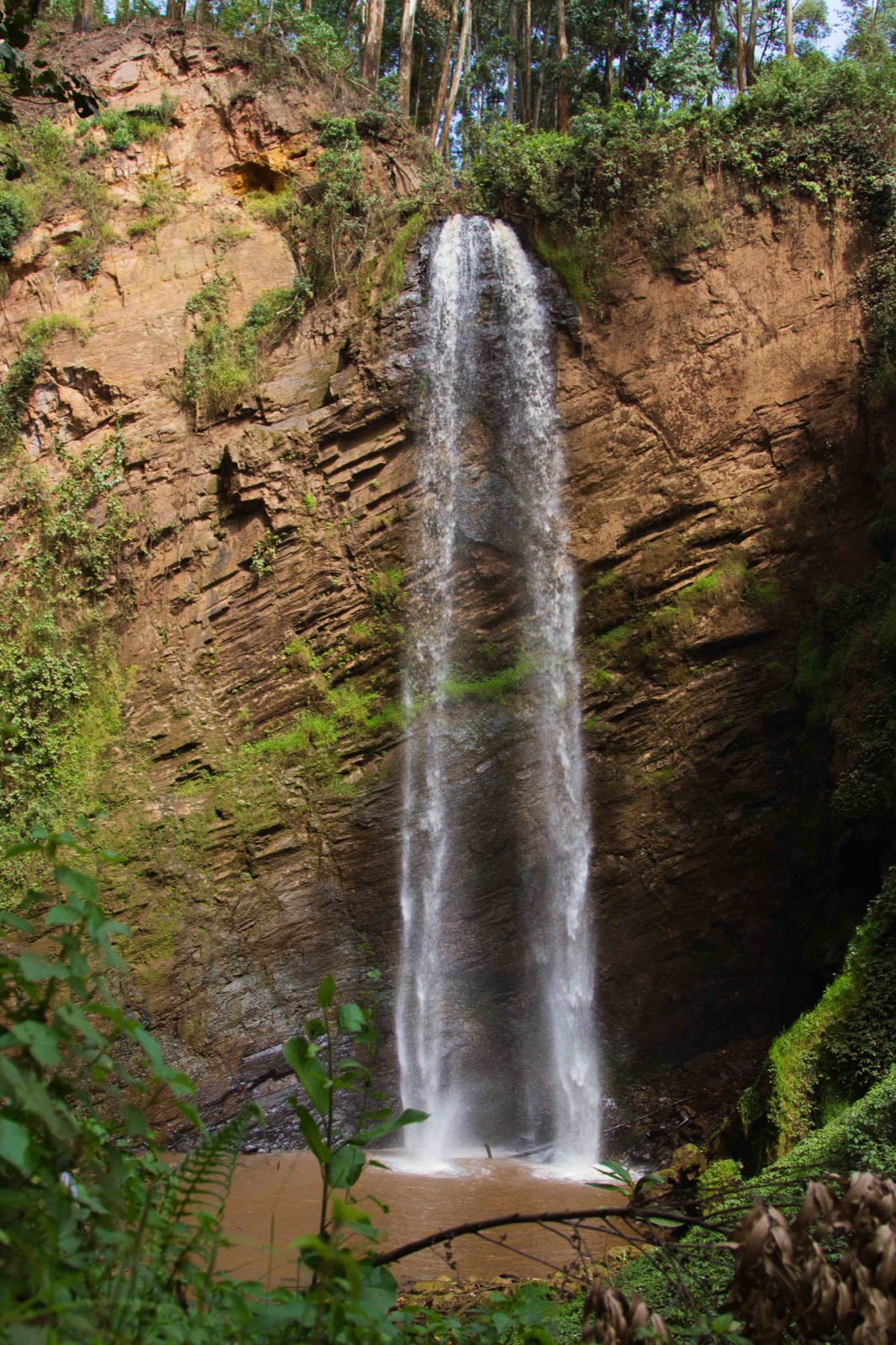 Kisiizi Falls waterfall in forested gorge, Uganda