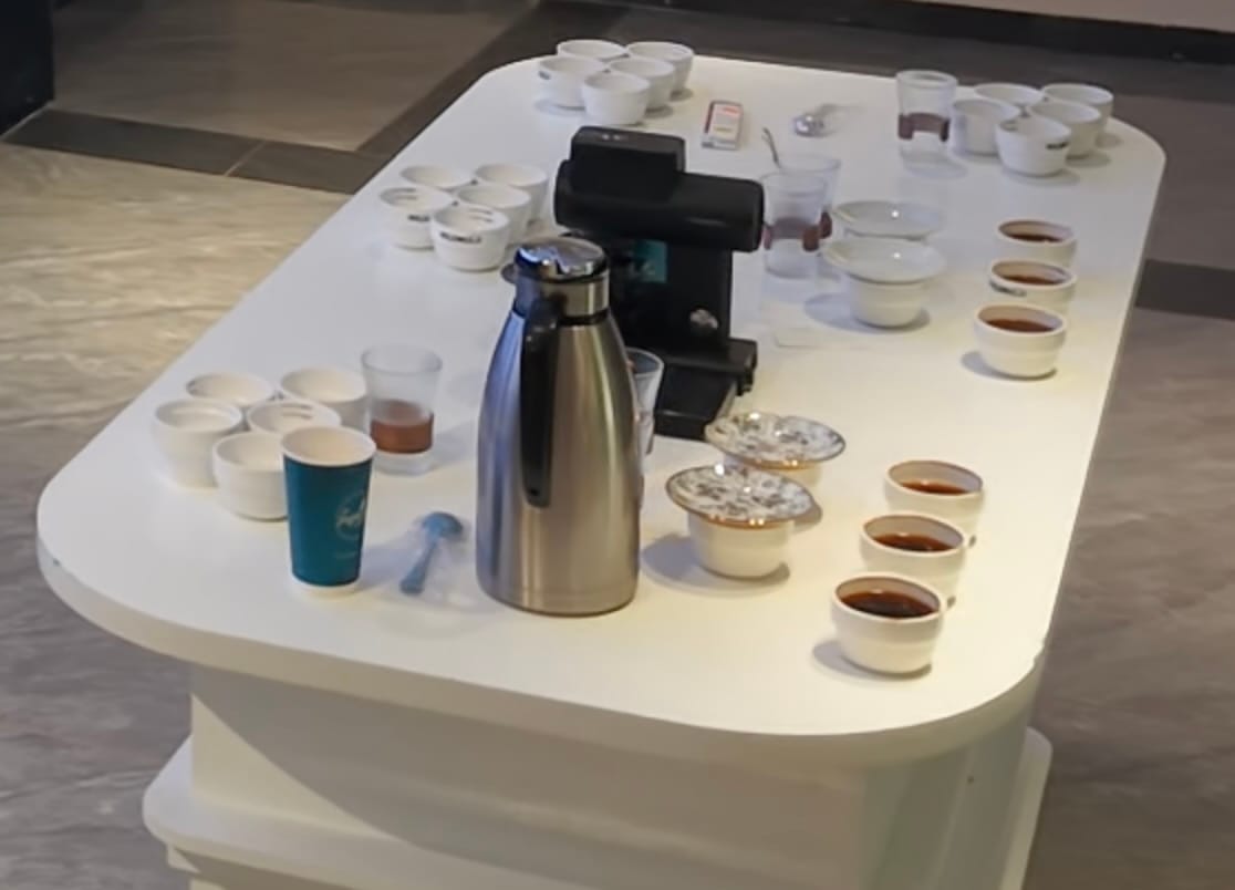 Professional coffee cupping session