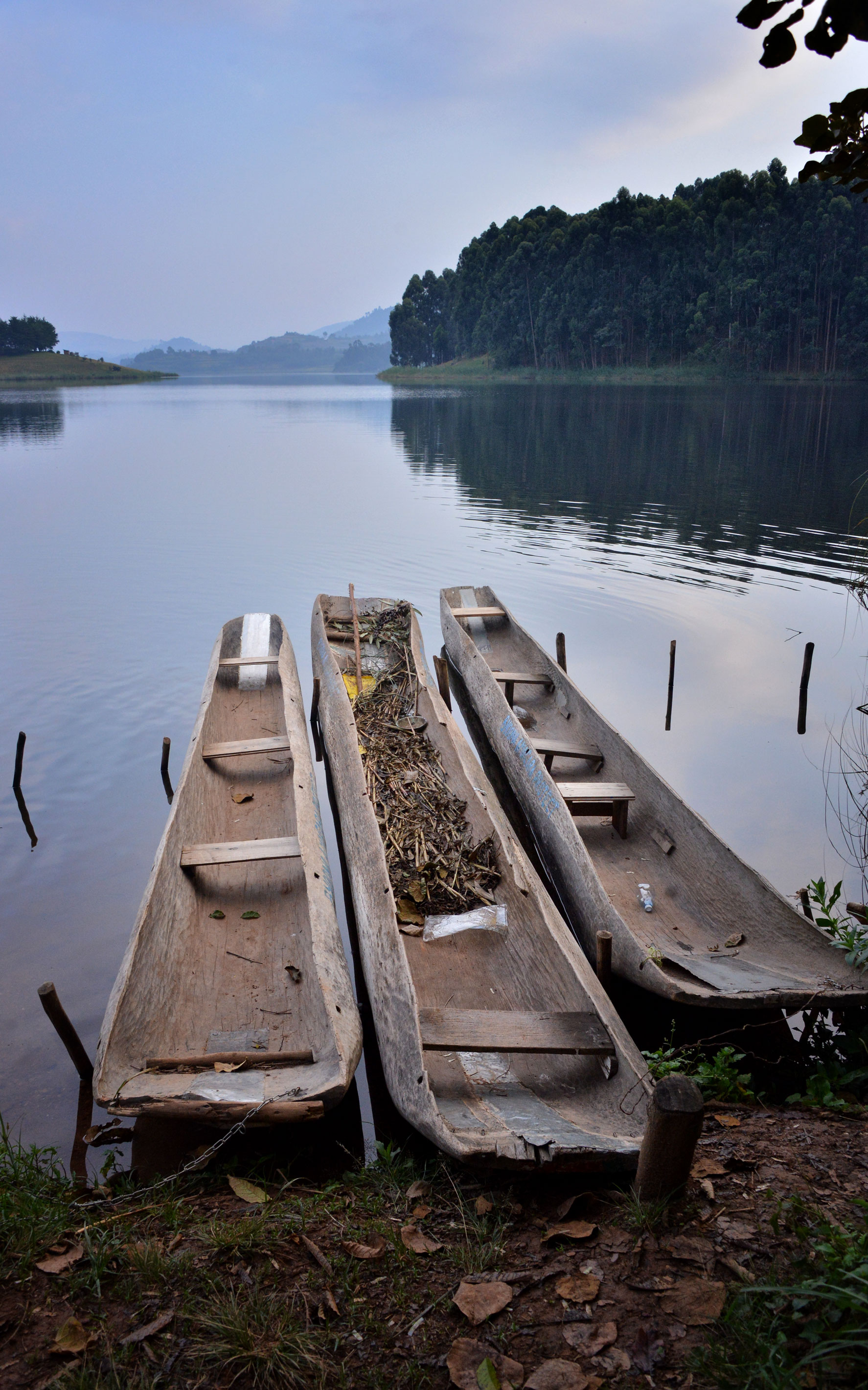 Lake Bunyonyi with terraced hills and islands, Kabale District, Uganda